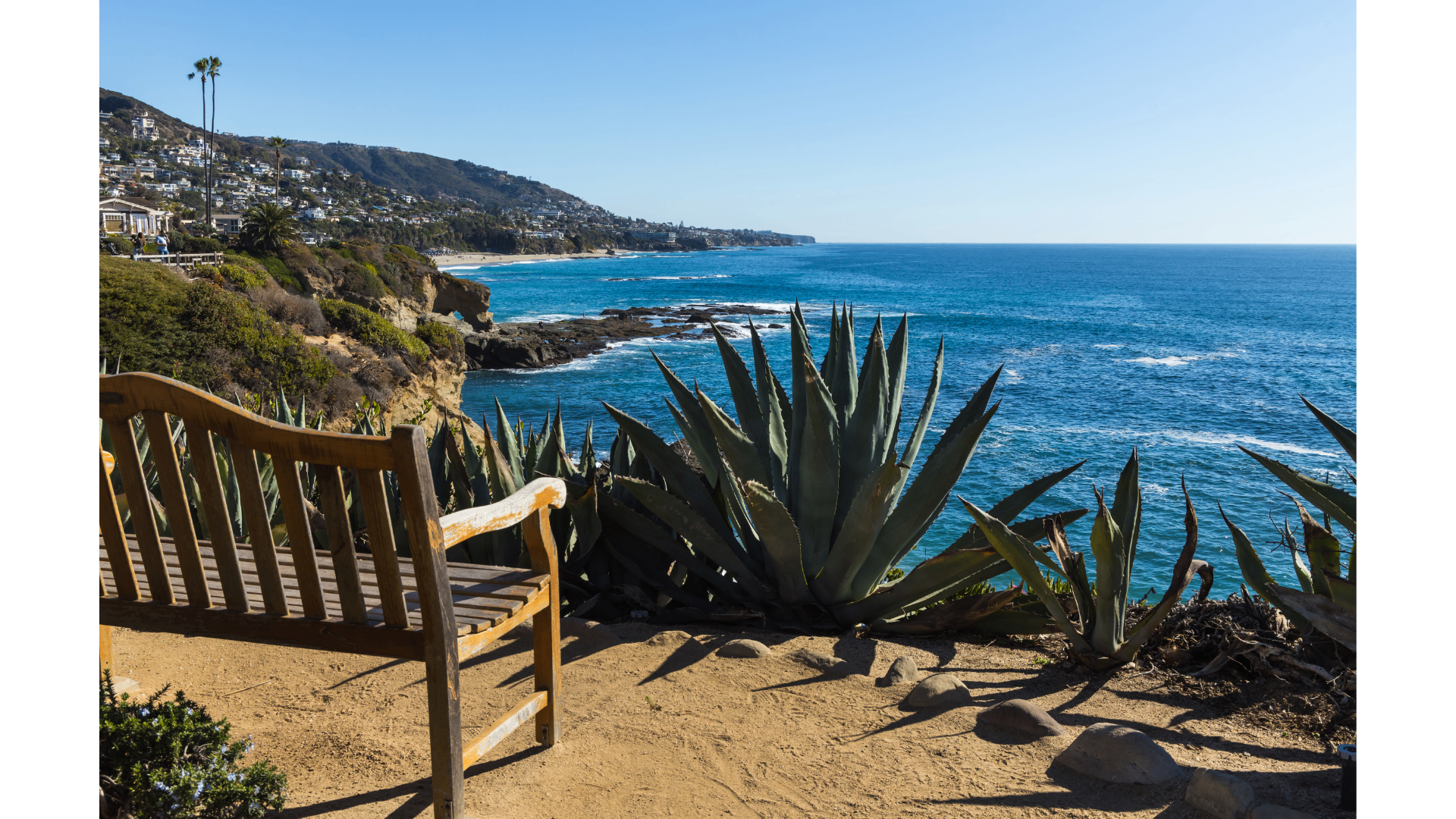 A quiet bench overlooking the Pacific coastline